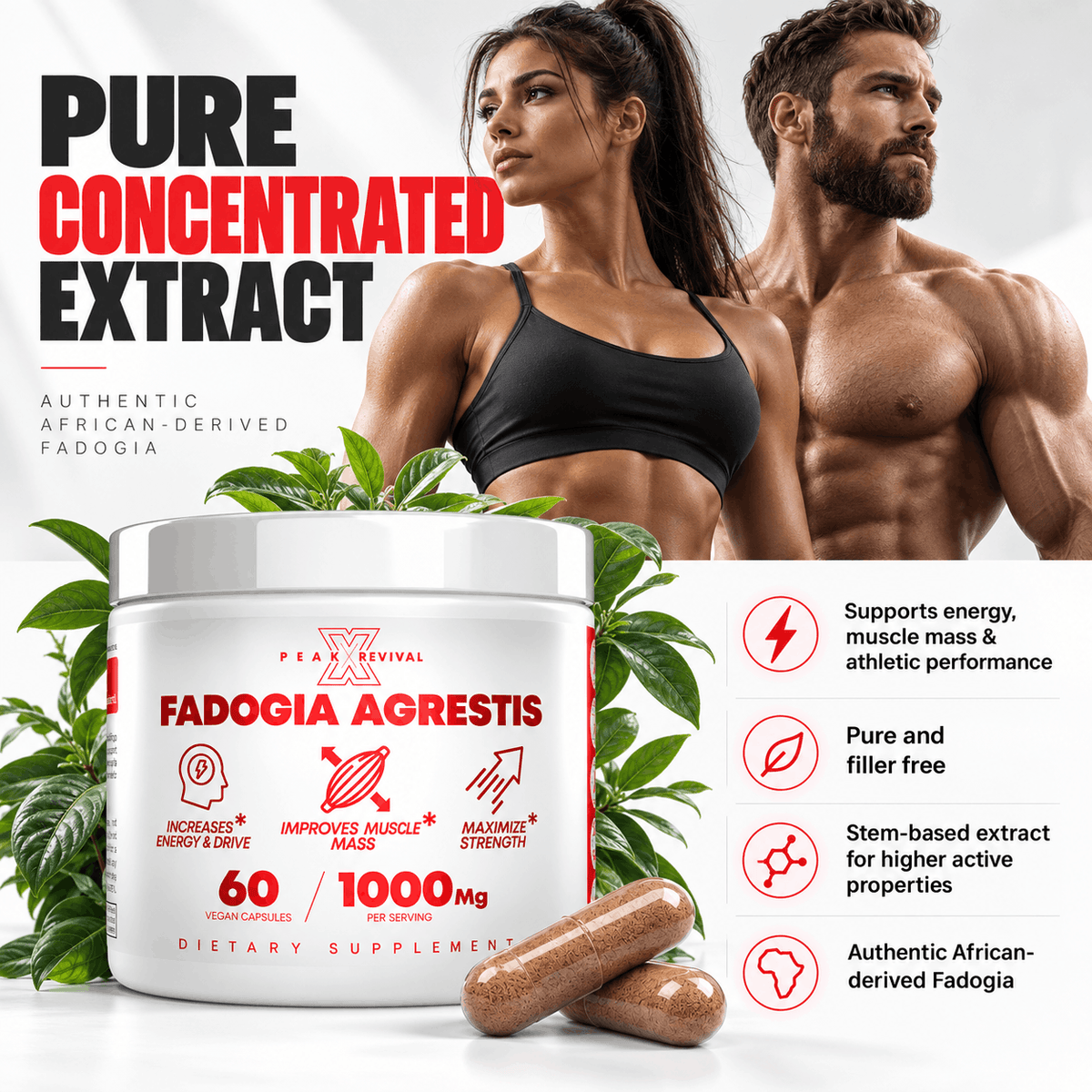 Fadogia Agrestis - Natural Testosterone Booster