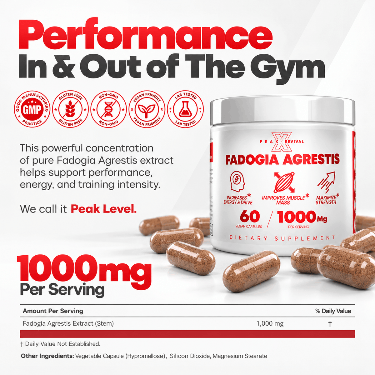 Fadogia Agrestis - Natural Testosterone Booster