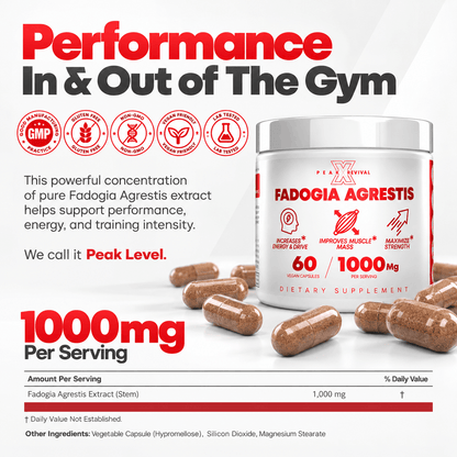 Fadogia Agrestis - Natural Testosterone Booster