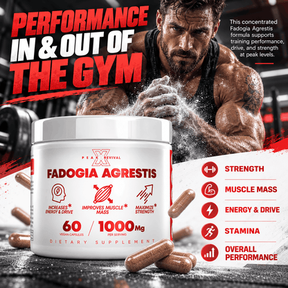 Fadogia Agrestis - Natural Testosterone Booster
